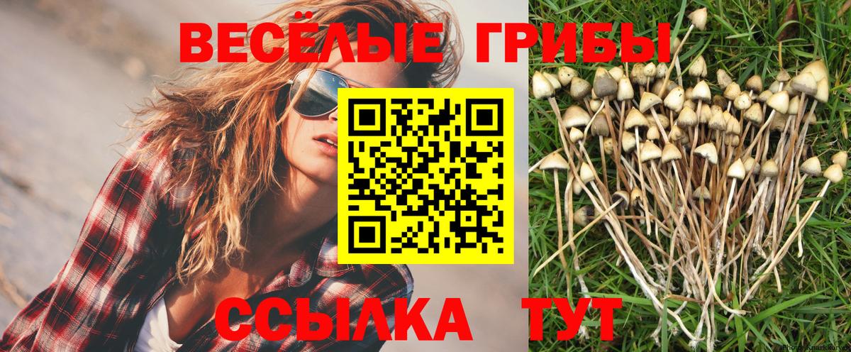 Галлюциногенные грибы мицелий Йошкар-Ола