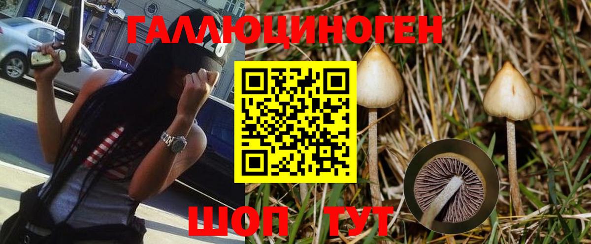 Галлюциногенные грибы GOLDEN TEACHER  Вход с VPN  Псилоцибиновые грибы Magic Shrooms  Йошкар-Ола 